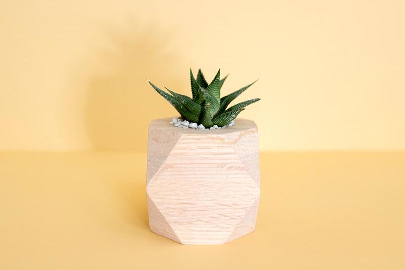 mong-bui-515633-unsplash-1.jpg mong-bui-515633-unsplash-1.jpg